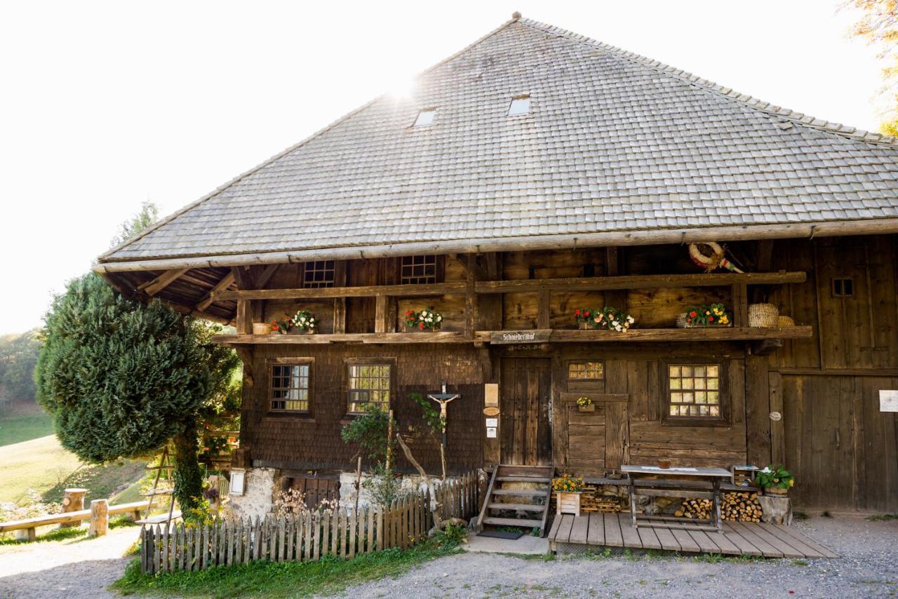 Berghaus Freiburg - Appartement Hotel Auf Dem Schauinsland Oberried  Exterior foto